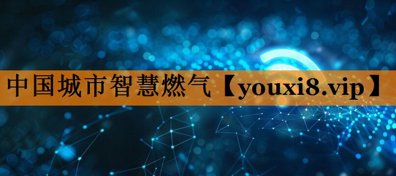 中国城市智慧燃气