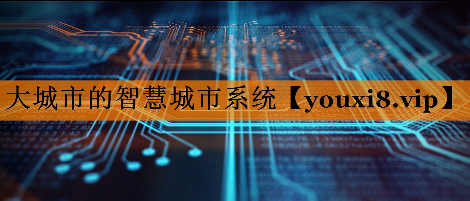 大城市的智慧城市系统 大城市的智慧城市系统