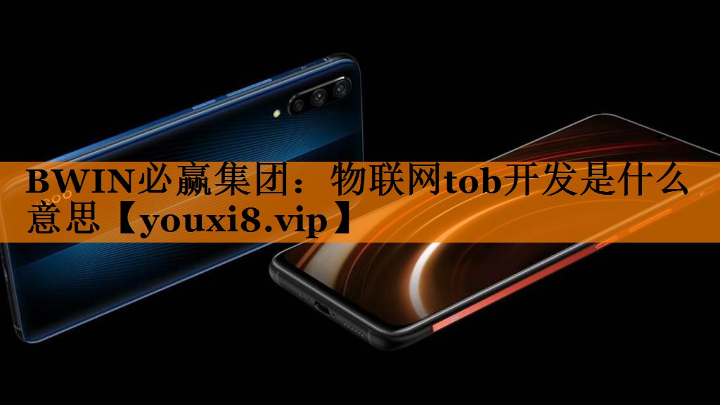 物联网tob开发是什么意思