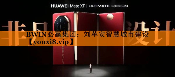 刘革安智慧城市建设