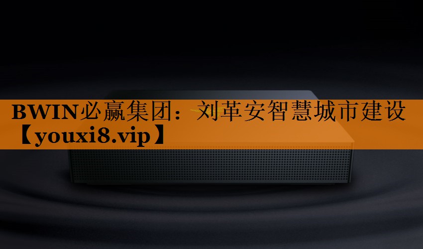 刘革安智慧城市建设