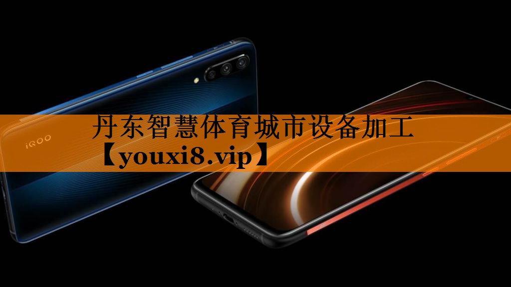 丹东智慧体育城市设备加工