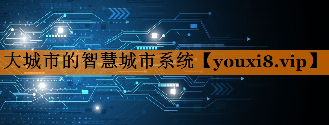 大城市的智慧城市系统 大城市的智慧城市系统